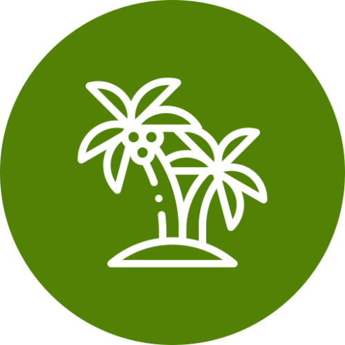 Calm-Neighborhood-Surrounded-by-Coconut-Trees-500x500