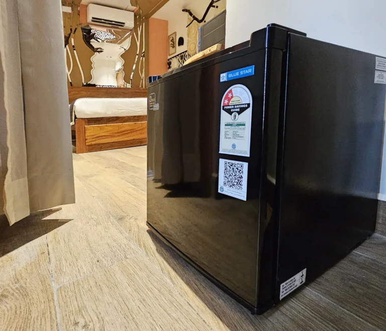 Room-101-–-Mirror-of-Boho-Dreams